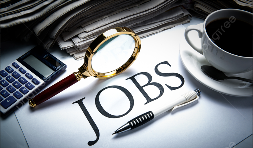 الفرص الوظيفية المتاحة